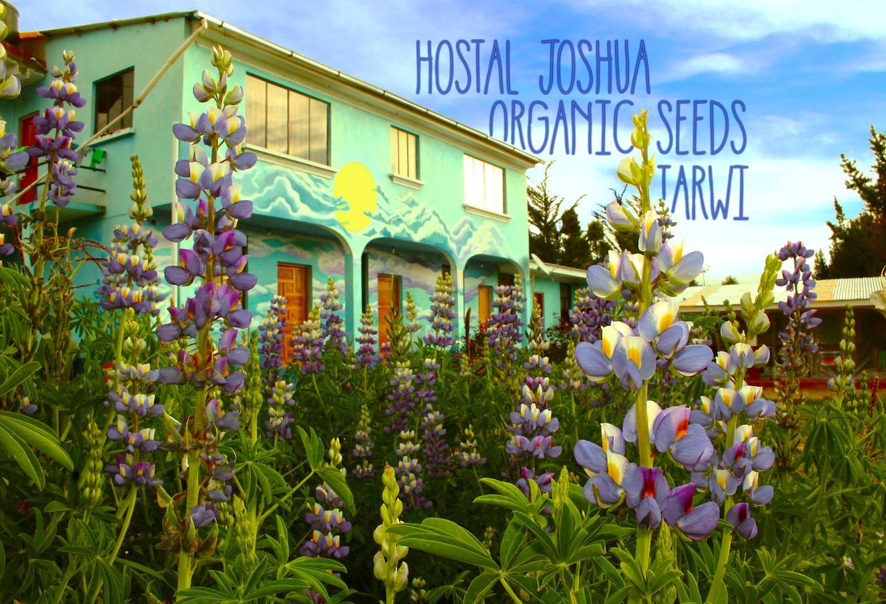 Hostal Joshua Copacabana  Kültér fotó